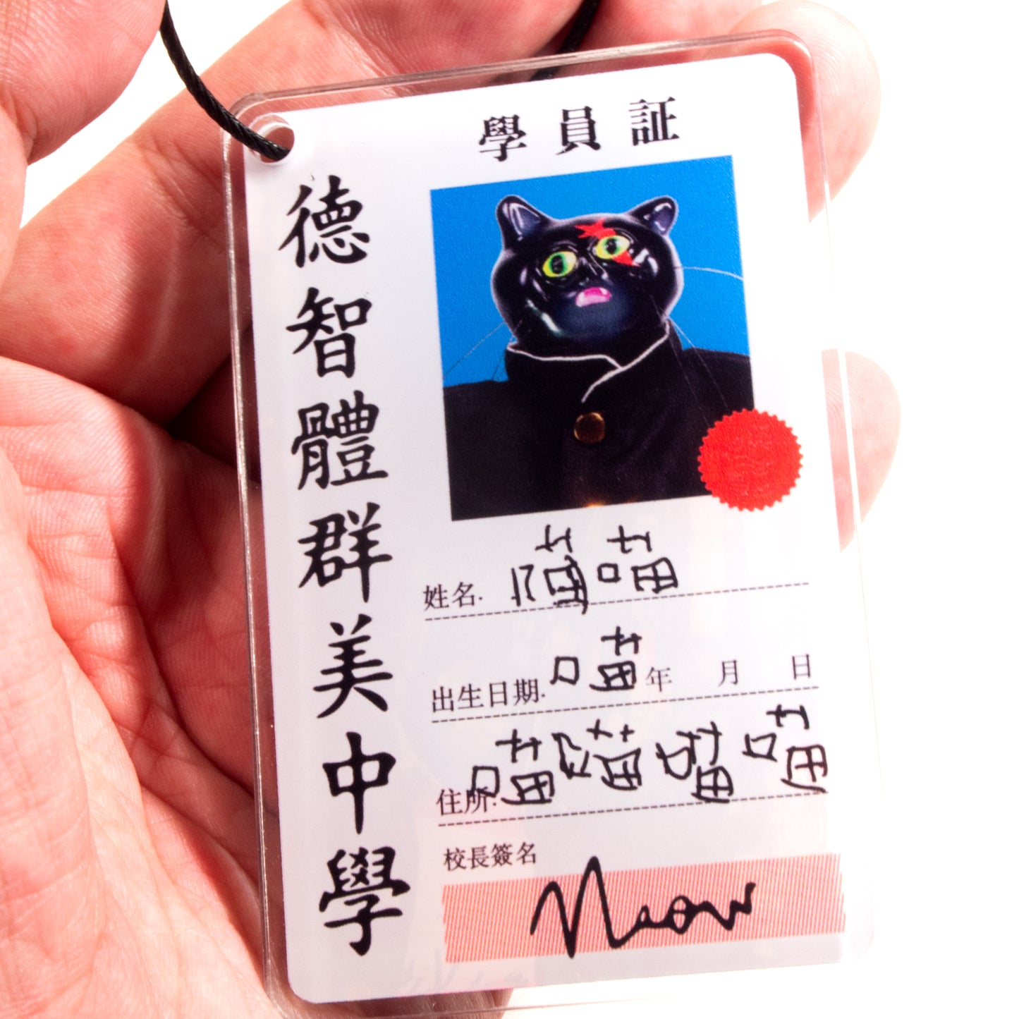 2001A  BAD CAT Student ID keychain