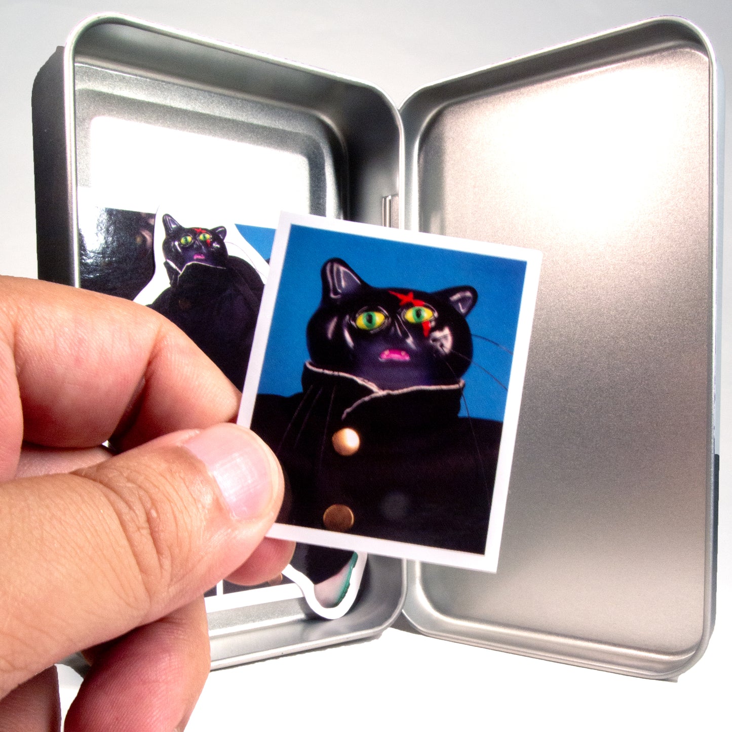 2001A  BAD CAT Secret Metal box
